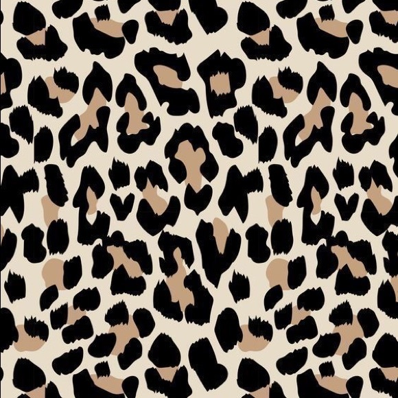 Meet your Posher, Bianca - Picture 1 of 1